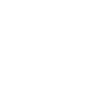 Terrene logo white